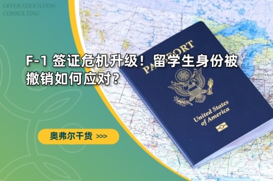 F-1 签证危机升级！留学生身份被撤销如何应对？
