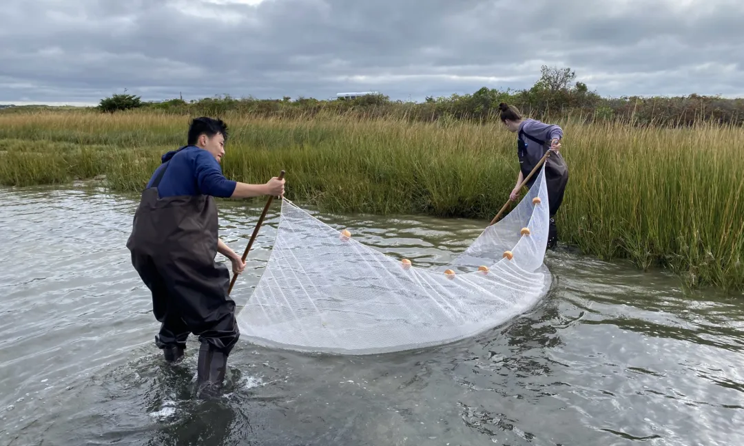 合作美高系列：科德角学院 -- 全面精英教育学府(图21)