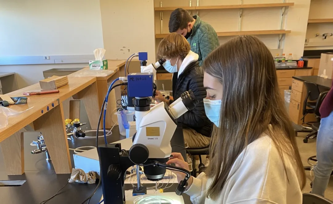 合作美高系列：科德角学院 -- 全面精英教育学府(图23)